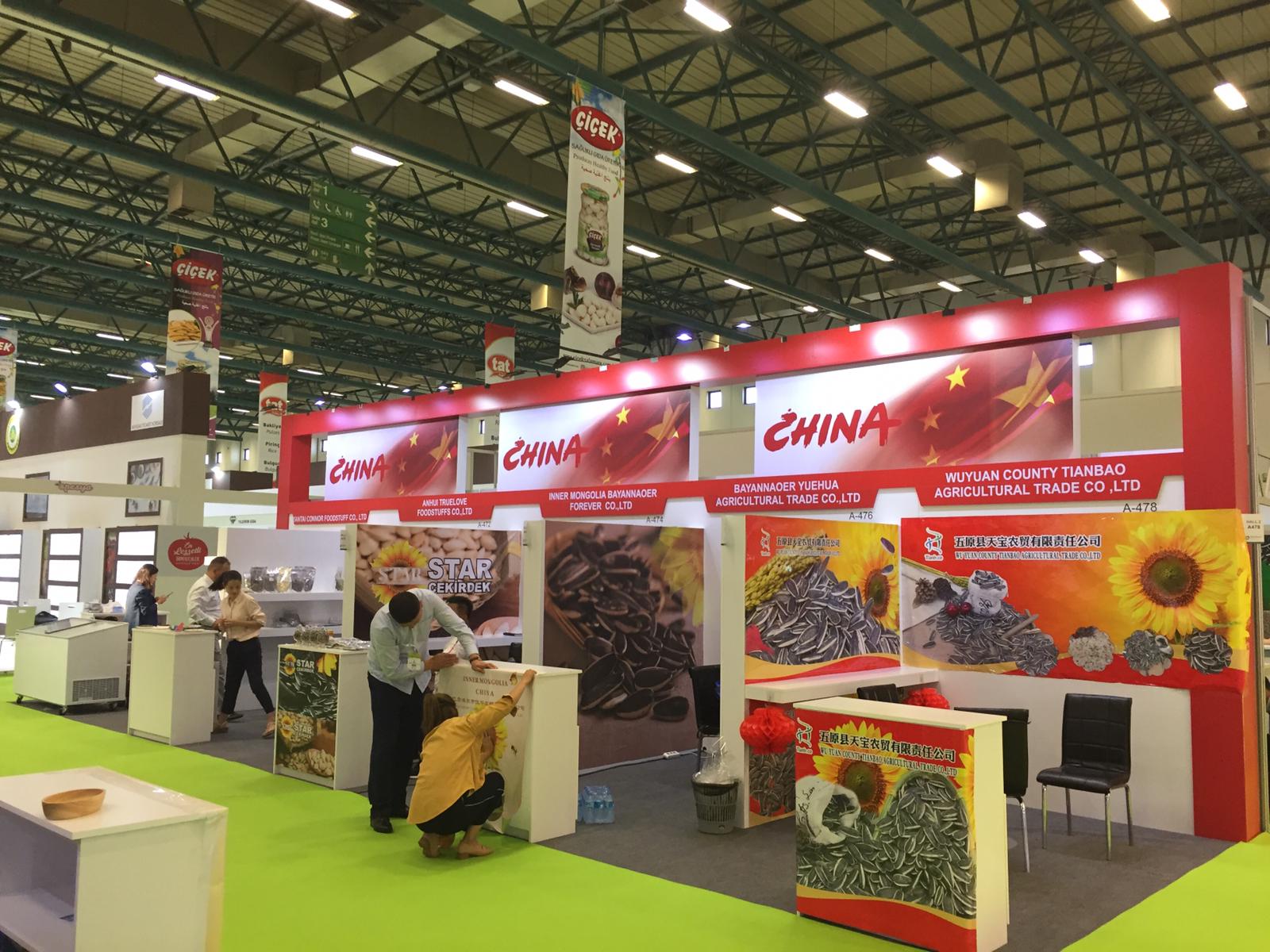 Ülke Pavilonları Ülke Pavilonları